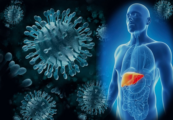 Гепатит с передается каким путем от человека к человеку