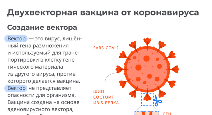 dvuhvektornaya-vakcina-ot-koronavirusa
