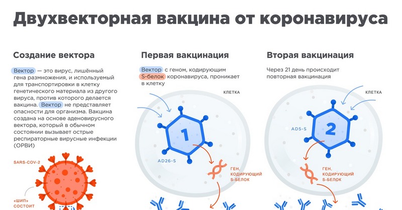 nuzhna-li-privivka-ot-koronavirusa-dlya-poezdki-v-krym-vakcina-sputnik-v