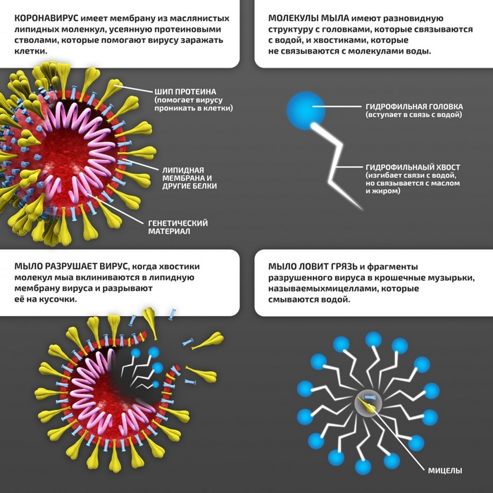 kak-unichtozhit-koronavirus-poka-on-ne-popal-v-organizm